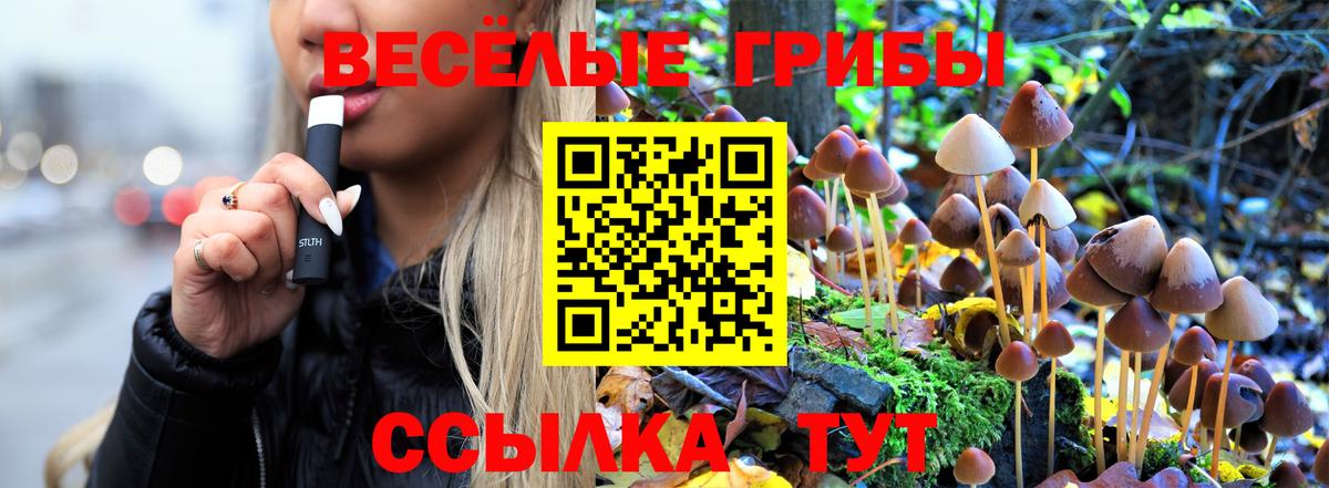 Псилоцибиновые грибы мицелий  Вход с VPN  Ялта 