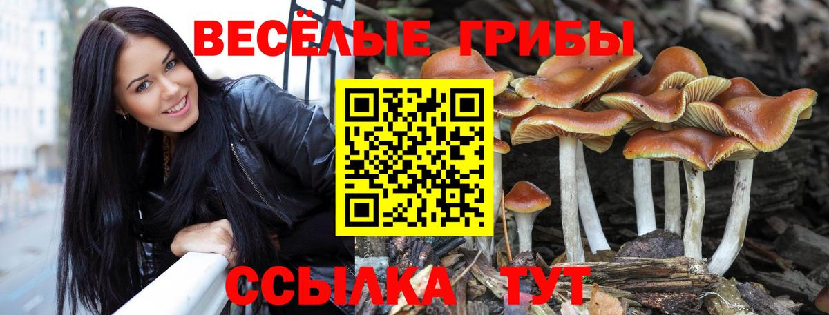 Галлюциногенные грибы мухоморы Ялта